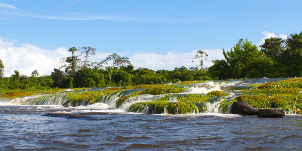 Vuelos a Paramaribo 