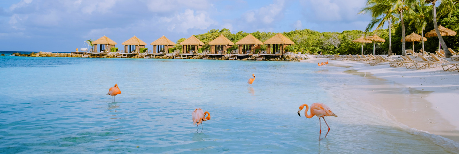 Vuelos a Aruba 